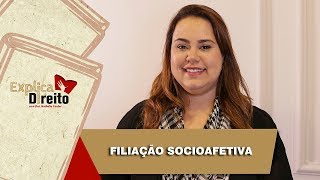 Explica Direito Filiação Socioafetiva  2019 [upl. by Egide]