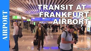 TRANSIT WALK AT FRANKFURT Airport FRA Terminal 1  Connection Flight Transfer Arriving amp Departing [upl. by Llennhoj]